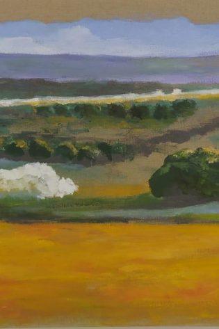 PAISAJE DE LA MANCHA